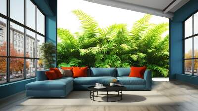 A lush tropical fern bush with dense green fronds, isolated on a white background Wall mural