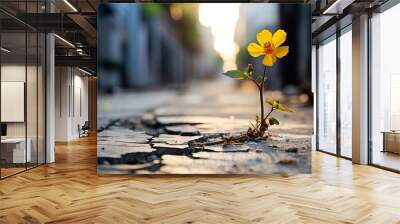 a yellow flower growing through a crack Wall mural