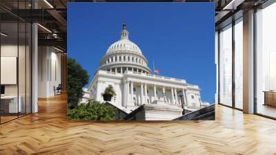 Capitol low angle image. Wall mural