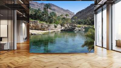 Clear water in wadi in Oman mountains Wall mural