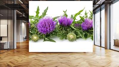 Purple flowers milk thistle isolated on white background Wall mural