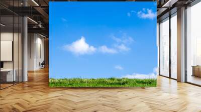 Grass and blue sky background Wall mural