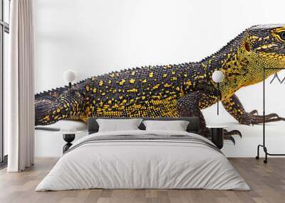 The yellow-spotted monitor, also known as the New Guinea Argus monitor, displayed on a white background Wall mural