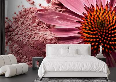 Top view close up Echinacea purpurea with powder on white background Wall mural