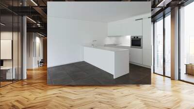 modern apartment, domestic kitchen Wall mural