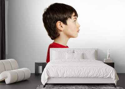 Portrait of little boy, isolated on white background Wall mural