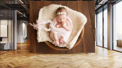 Newborn girl on a brown background. Photoshoot for the newborn. 7 days from birth. A portrait of a beautiful, seven day old, newborn baby girl Wall mural