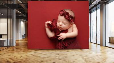 Newborn girl on a red background. Photoshoot for the newborn. A portrait of a beautiful newborn baby girl	 Wall mural