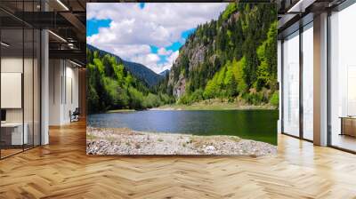 The sandy shore of mountain lake Petrimanu in a summer day. Capatanii Massif, Carpathian Mountains, Romania Wall mural