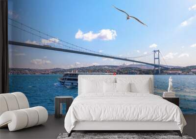 Cruise ship under the Bosphorus bridge, Istanbul, Turkey Wall mural