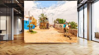 Traditional nubian village view, Africa, Egypt, Aswan Wall mural