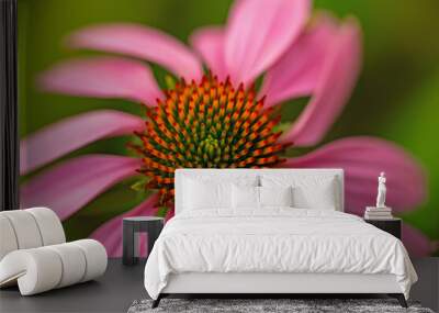 macro of a coneflower with blurred background Wall mural