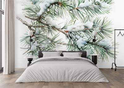 A close-up of a snow-covered evergreen branch with green pine needles, perfect for winter or holiday-themed designs. Wall mural