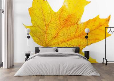 Bright yellow autumn maple leaf isolated on white background, perfect for seasonal images, nature themes, and fall design projects. Wall mural