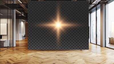 Merry Christmas,The bright star the birth of Jesus isolated on transparent background. Vector Illustration  Wall mural