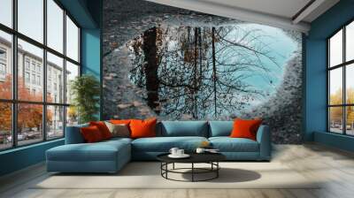 Reflection Wall mural