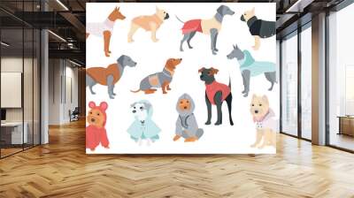 Cute dogs in canine clothes mega set in flat design. Bundle elements of different breeds puppies in funny winter coats, warm sweaters and other outfits. Vector illustration isolated graphic objects Wall mural