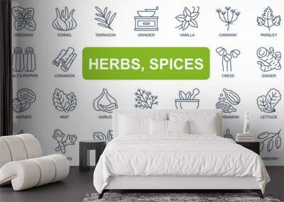 Herbs, spices concept simple line icons set. Bundle of star anise, oregano, vanilla, paprika, rosemary, salt, pepper, cinnamon and other. Vector pack outline symbols for website or mobile app design Wall mural