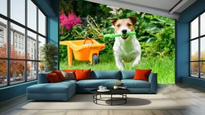 Concept of open and safe for pets garden with dog cleaning weeds with rake Wall mural