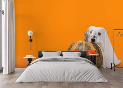 Cute dog under blanket as Halloween ghost next to big Halloween pumpkin with glowing eyes on solid color background Wall mural