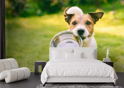 Hungry or thirsty dog fetches metal bowl to get feed or water Wall mural