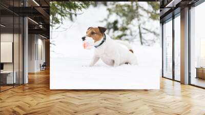 Winter fun with dog at wild nature woodland Wall mural