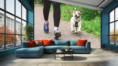 Woman running with dog to workout during morning walk Wall mural