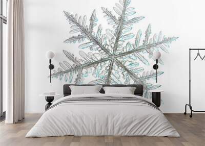 Real snowflake photo (large stellar dendrite crystal), isolated on white background Wall mural