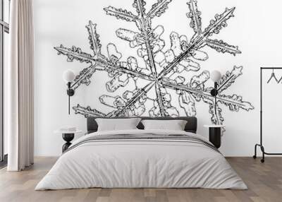 Snowflake isolated on white background. Illustration based on macro photo of real snow crystal: elegant stellar dendrite with fine hexagonal symmetry, ornate shape and complex inner details. Wall mural