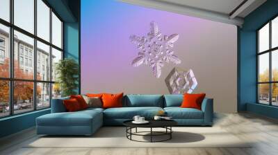 Two real snowflakes on bright blue - pink - brown gradient background. These snowflakes have rare and unusual ring patterns of six heart-shape elements around central hexagons. Wall mural