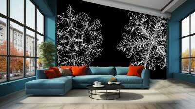 Two snowflakes isolated on black background. Illustration based on macro photos of real snow crystals: elegant stellar dendrites with fine hexagonal symmetry, ornate shapes and complex inner details. Wall mural