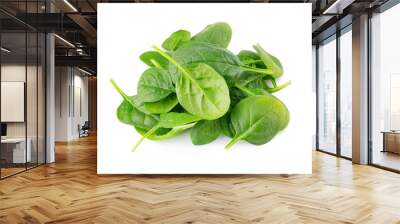 Heap of fresh spinach leafs isolated on white Wall mural