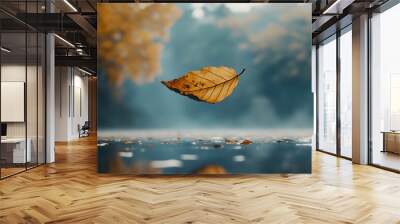 Lonely falling autumn leaf. Autumn mood concept. Autumn colorful background.  Wall mural