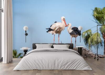 2 storks in the nest Wall mural