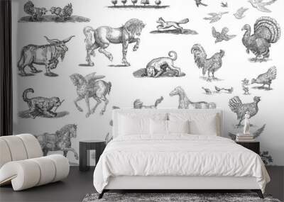 animals set illustration Wall mural