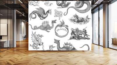 dragon illustration Wall mural