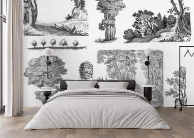 trees set illustration Wall mural