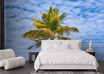 Palm on blue sky Wall mural