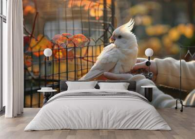 Person holding a white parrot near a cage with autumn leaves. Bird care and pet interaction concept Wall mural