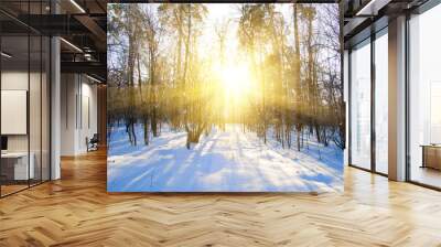 Beautiful winter sunset with trees in snow Wall mural