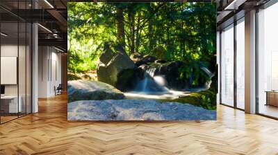 Waterfall in forest Wall mural