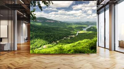 View at Lake Lure in North Carolina from Chimney rock mountain Wall mural