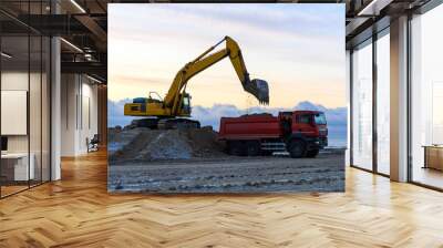 Yellow excavator loads ground into the dumper. The road construction. Wall mural