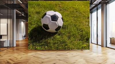 soccer ball on grass Wall mural