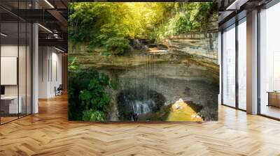 Clifty Falls Wall mural