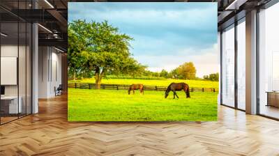 Two horses grazing on a farm in Central Kentucky Wall mural