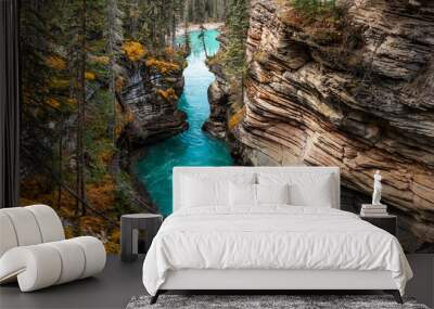 Athabasca Falls. Canada Wall mural