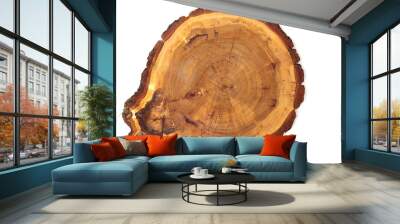 Top view of a tree stump isolated on white background Wall mural