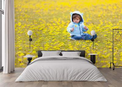 B in the field with  spring flowers Wall mural