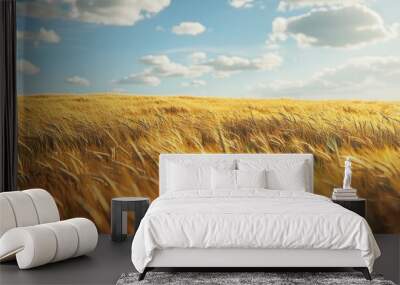 Golden barley field stretching to the horizon, 4K hyperrealistic photo Wall mural